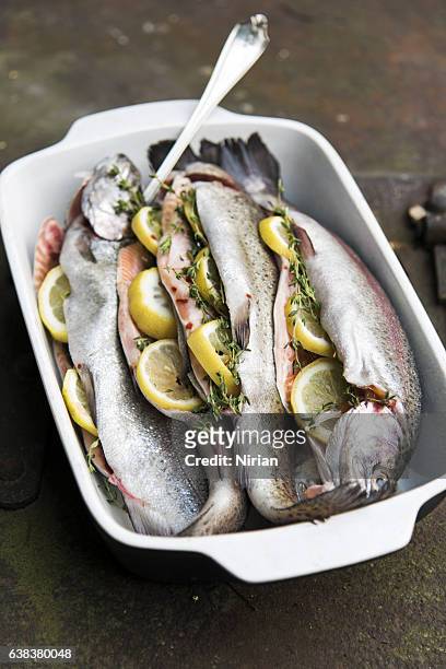 poissons prêts pour barbecue - trout stock photos et images de collection