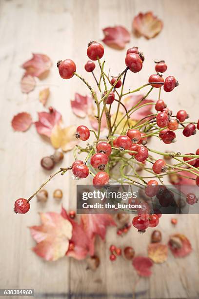 high angle view of rose hips in vase on wooden table - rose hip stock pictures, royalty-free photos & images