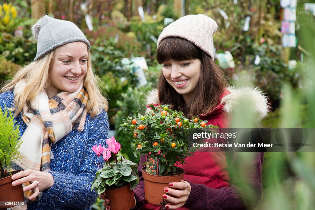 Women choosing plants, in city garden center.