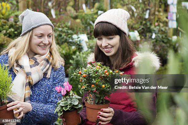 women choosing plants, in city garden center. - tuincentrum stockfoto's en -beelden