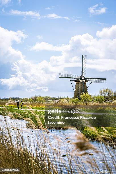 kinderdijk, netherlands, landscape and windmills - iacomino netherlands foto e immagini stock