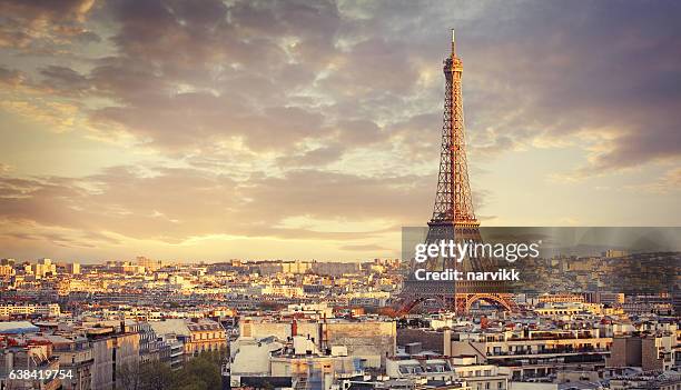 paysage urbain de paris  - tour eiffel photos et images de collection