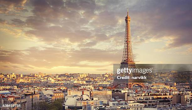 paris cityscape - eiffeltoren stockfoto's en -beelden