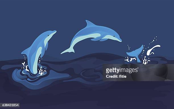 illustrations, cliparts, dessins animés et icônes de illustration vectorielle des dauphins - sauter