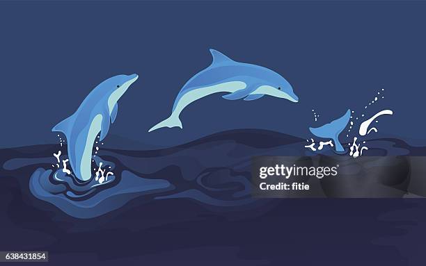 stockillustraties, clipart, cartoons en iconen met vector illustration of dolphins - dolfijn