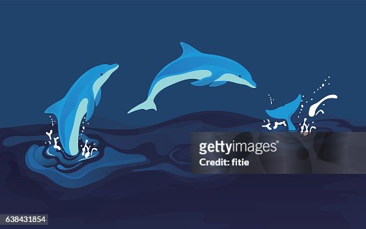 804 Animated Dolphins Photos and Premium High Res Pictures - Getty Images