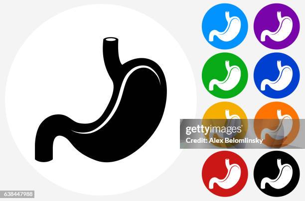 stockillustraties, clipart, cartoons en iconen met stomach icon on flat color circle buttons - flat stomach