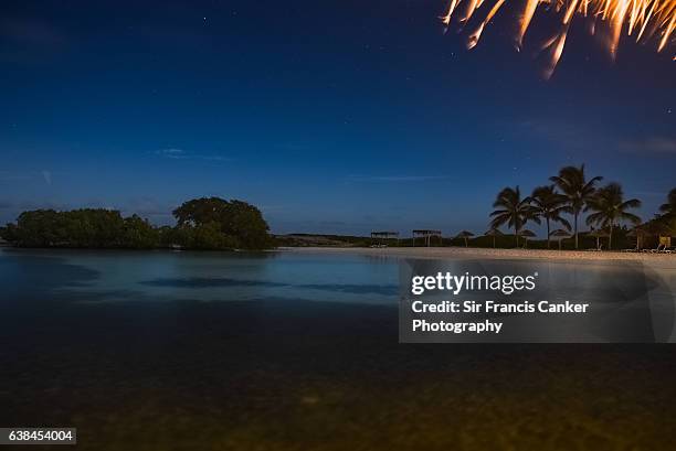 starry night in the caribbean sea with palm trees and white sand, cuba - cayo santa maria stock pictures, royalty-free photos & images