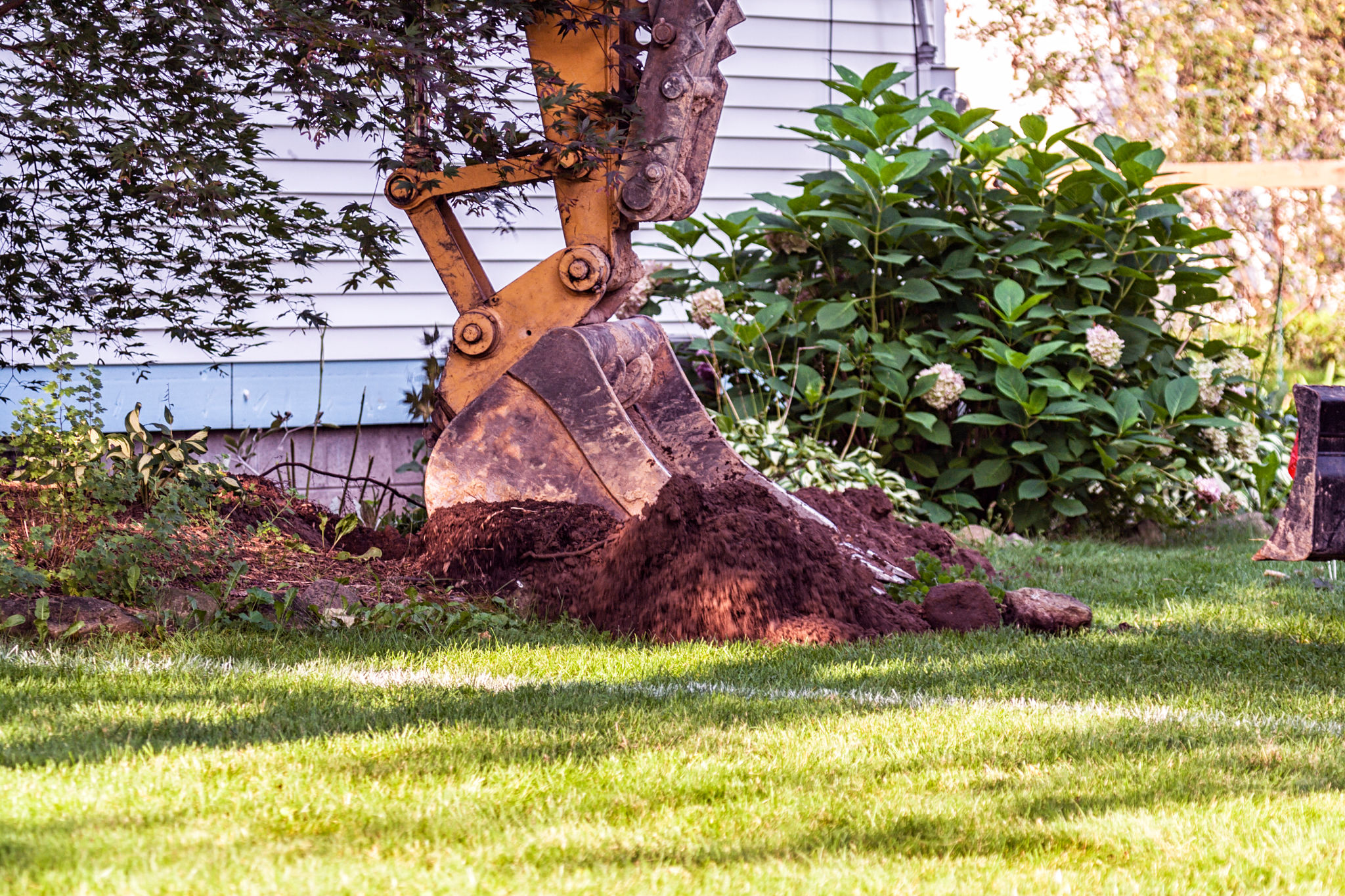 lawn transformation