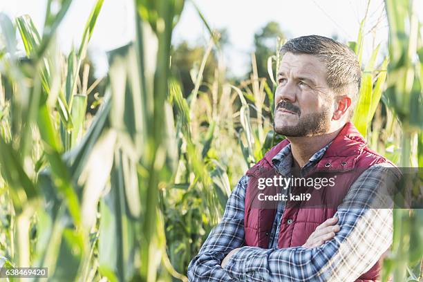 Spring Farm Sad 2,114 Sad Farm Stock Photos, High-Res Pictures, and Images - Getty Images