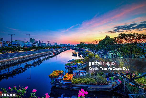 binh dong - vietnam spring stock pictures, royalty-free photos & images