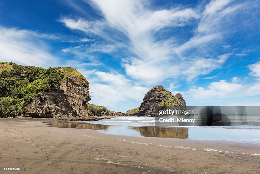 Lion Rock am Piha Beach Auckland Neuseeland