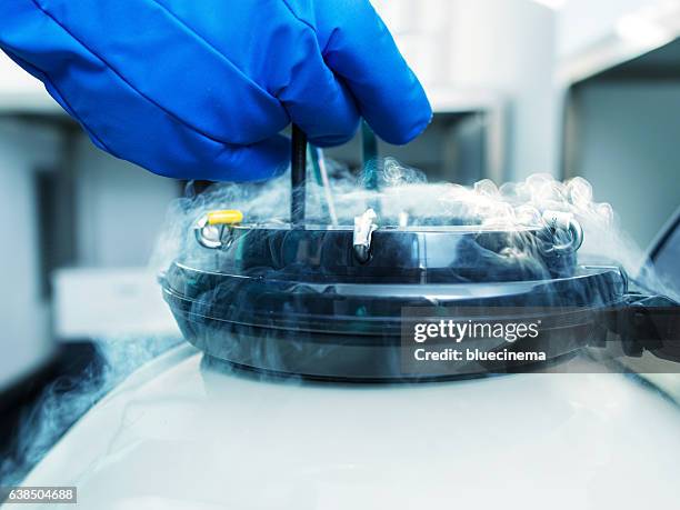 sample of sperm frozen tank - medical sample stock pictures, royalty-free photos & images