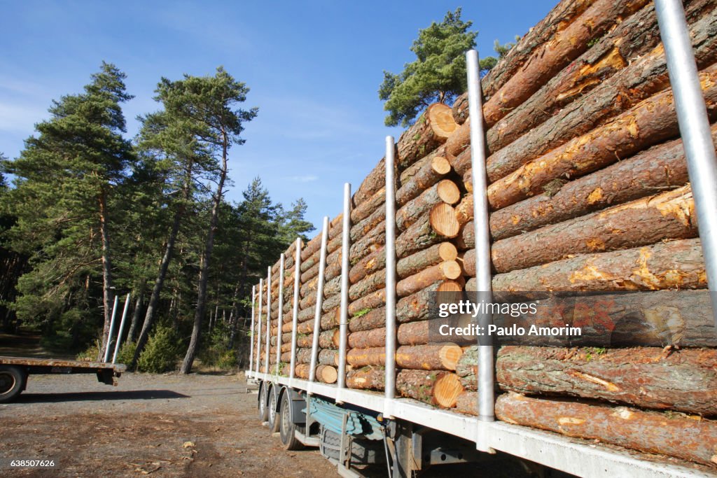 Exploitation of the Forest in France