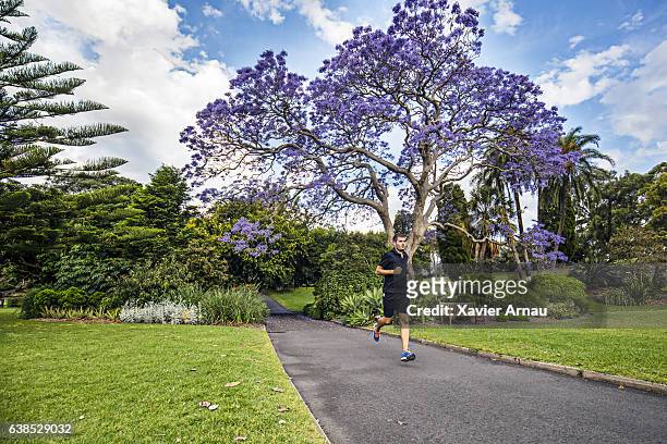 running late afternoon in the park - springtime exercise stock pictures, royalty-free photos & images