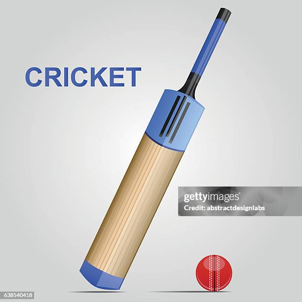 cricket bat and ball - illustration - cricket bat icon stock illustrations
