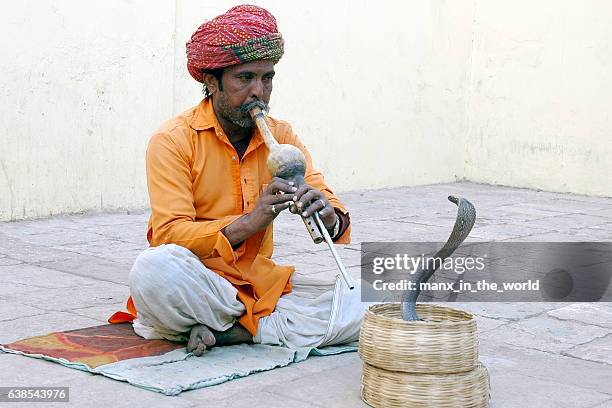 indian snake-charmer. - charms stock pictures, royalty-free photos & images