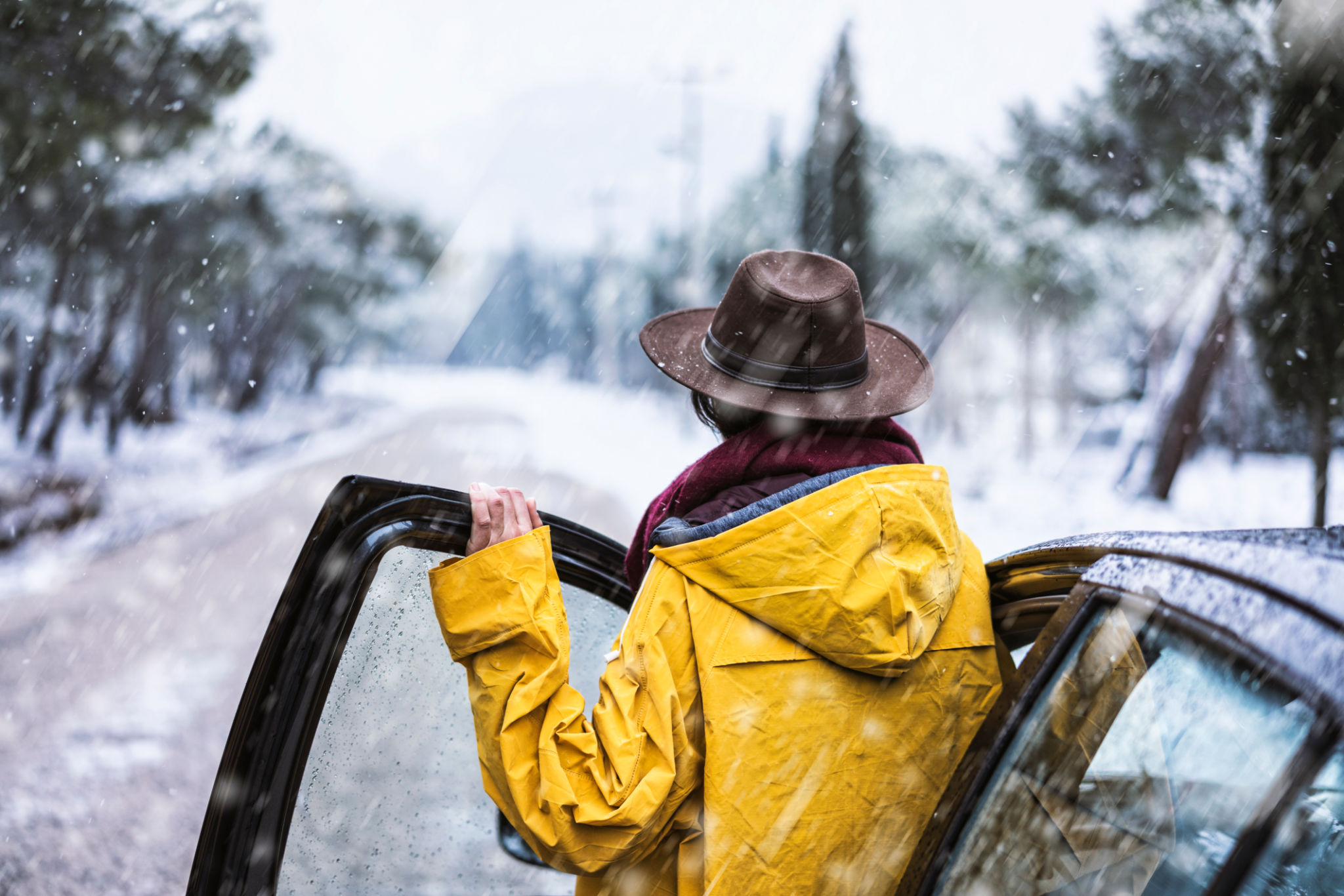 winter car