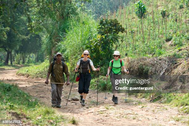 tourists starting their climb of mt. rwenzori, uganda - uganda stock pictures, royalty-free photos & images