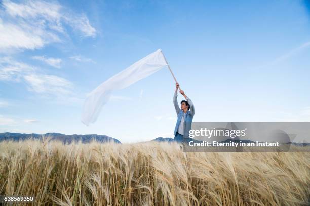 teenage boy waving a big white flag in a wheat field - aufgeben stock-fotos und bilder