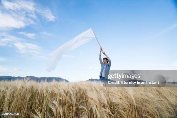 teenage boy waving a big white flag in a wheat field - open day 14 stock pictures, royalty-free photos & images