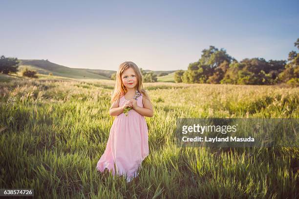 little girl holding flowers in a field - girl with brown hair stock pictures, royalty-free photos & images