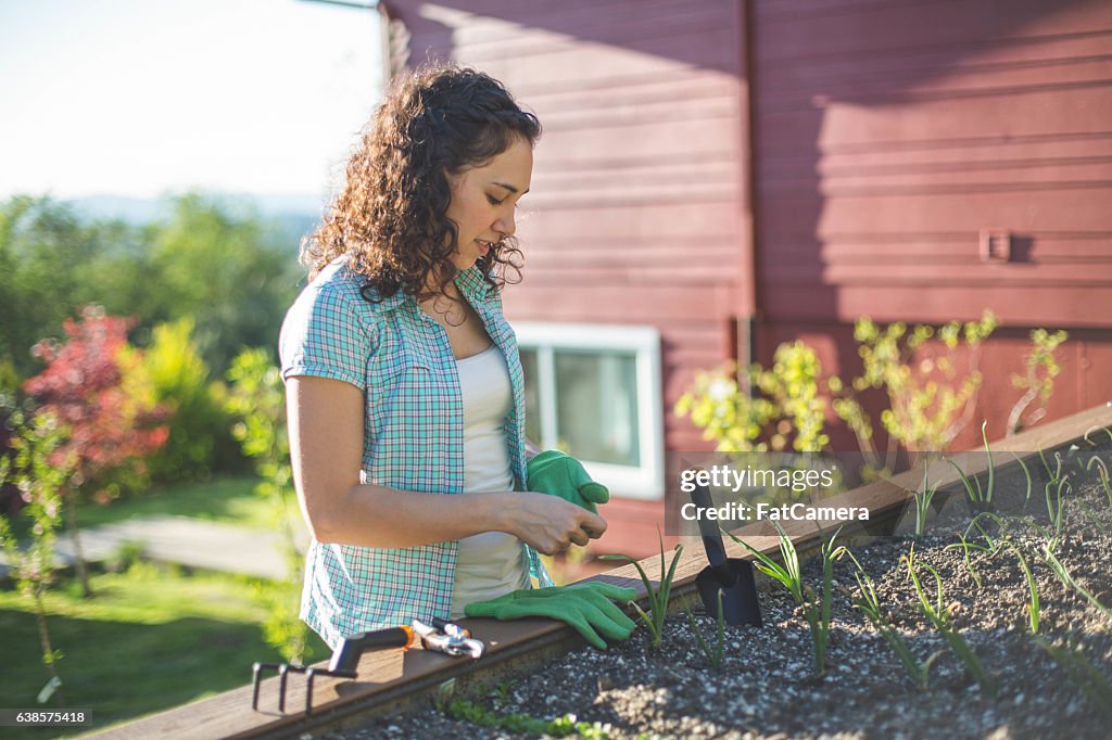 Schöne ethnische weibliche Gärtner Gartenarbeit im Freien