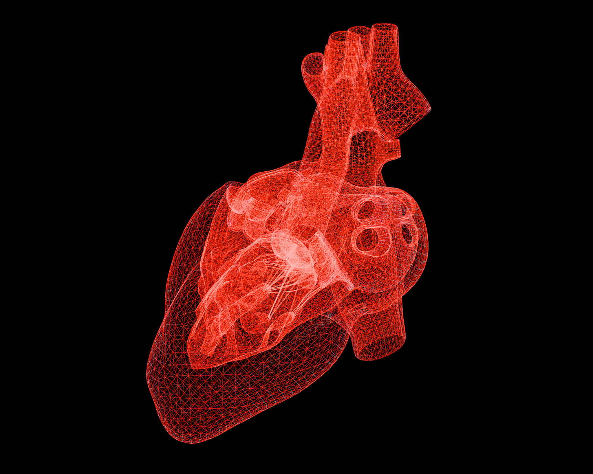 cardiovascular technology