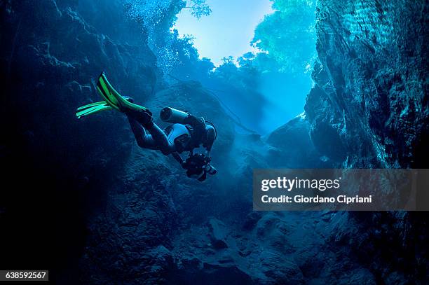 dive in lagoa misteriosa cenote, brazil - profundo fotografías e imágenes de stock