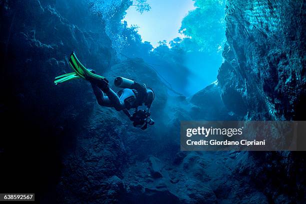 dive in lagoa misteriosa cenote, brazil - dykarutrustning bildbanksfoton och bilder