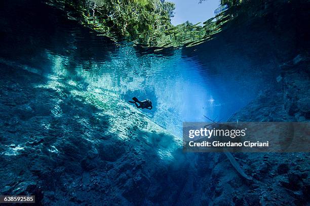 dive in lagoa misteriosa cenote, brazil - mato grosso do sul stock-fotos und bilder