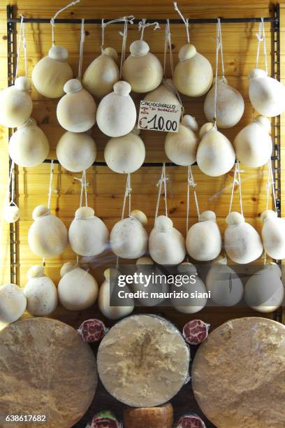 cheeses (provolone and parmesan) for sale in shop - campana foto e immagini stock