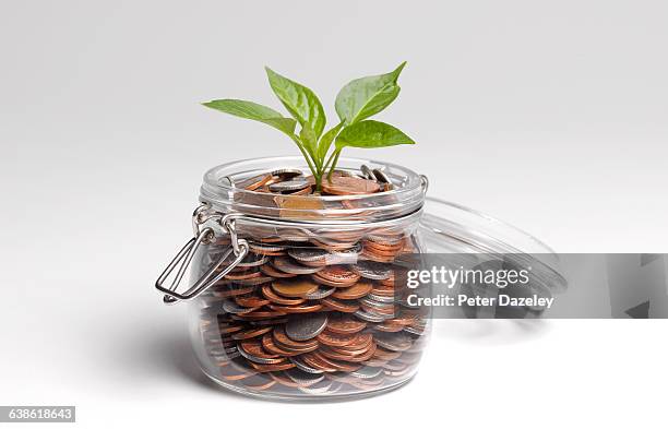 savings with shoots growing - saving for a rainy day englische redewendung stock-fotos und bilder