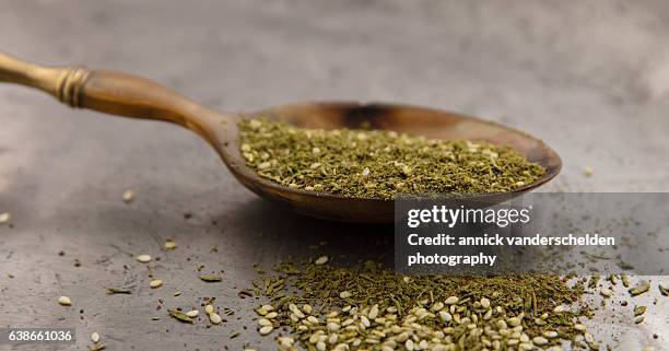 za'atar in spoon. - origanum imagens e fotografias de stock