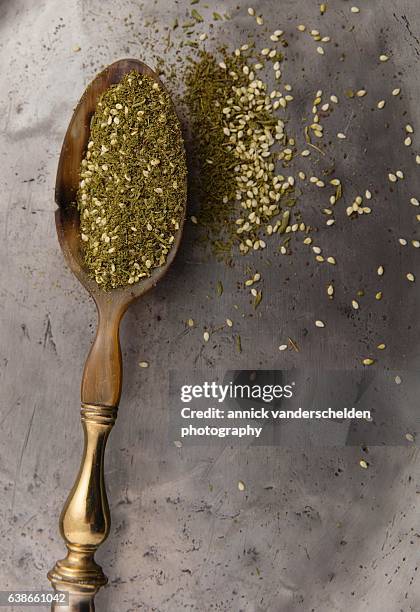 za'atar in spoon. - origanum imagens e fotografias de stock