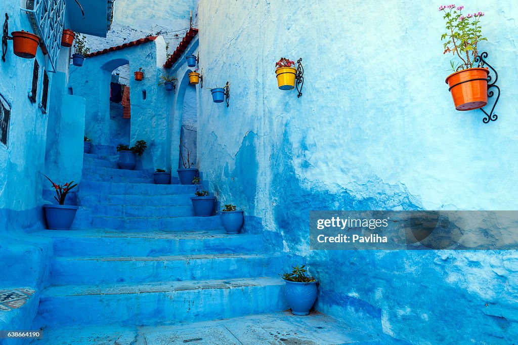 Blue staircase & colourful flowerpots, Chefchaouen,Morocco,North Africa