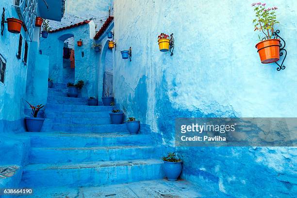 blue staircase & colourful flowerpots, chefchaouen,morocco,north africa - morrocco stock pictures, royalty-free photos & images