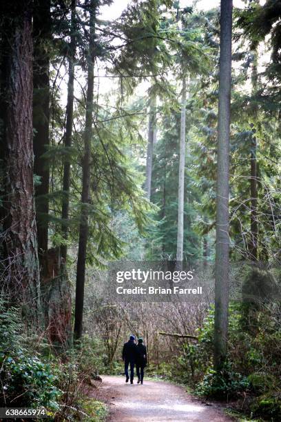 couple in the park - stanley park fotografías e imágenes de stock