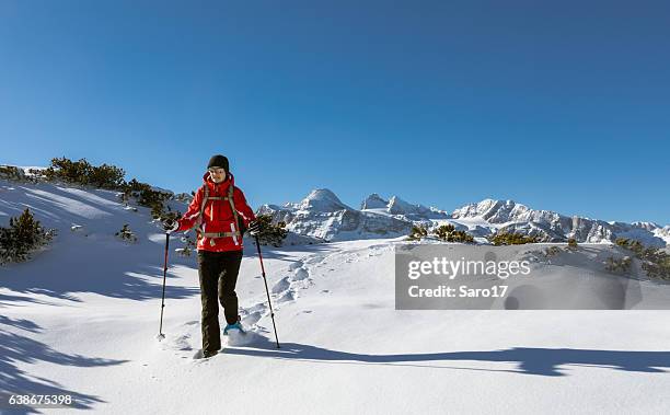 raquetas de nieve en la nieve en polvo austriaca - sombra larga sombra fotografías e imágenes de stock