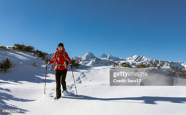 snowshoeing in austrian powder snow - long shadow shadow stock pictures, royalty-free photos & images