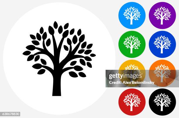 tree icon on flat color circle buttons - tree icon stock illustrations