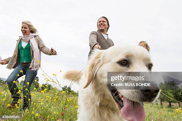 happy family running with pet dog in park - homme en contre plongée fait le pitre photos et images de collection