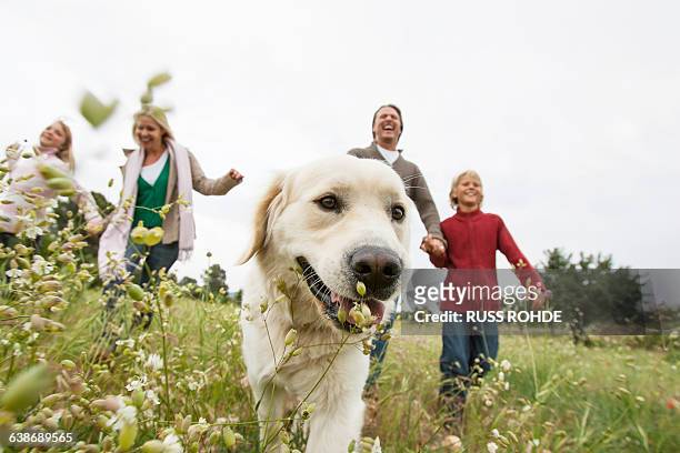 happy family running with pet dog in park - family dog stock-fotos und bilder