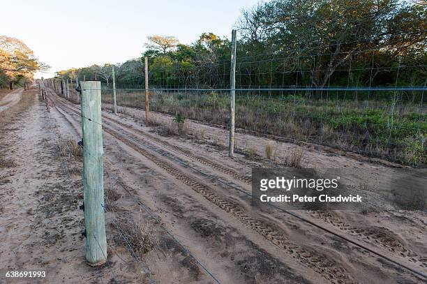 border fence, tembe elephant park, zululand, kwazulu natal, south africa - maputaland stock-fotos und bilder