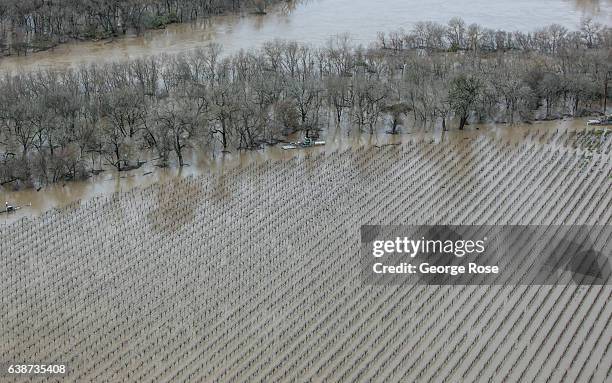 Vineyards and farmland along the Russian River are inundated by widespread flooding following days of torrential rain as viewed on January 11 near...