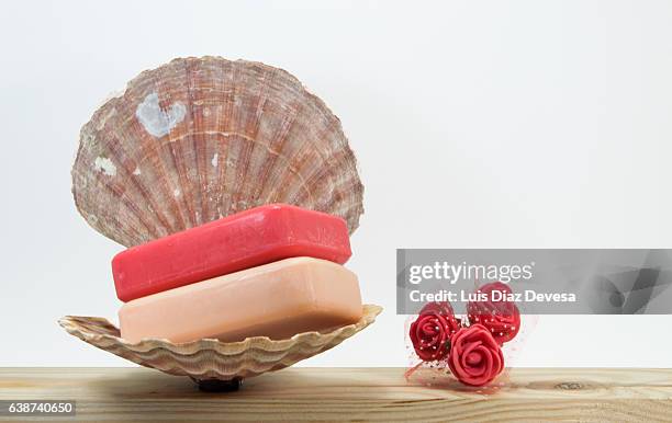 two piece of soap in a scallop soapdish - bar soap stock pictures, royalty-free photos & images