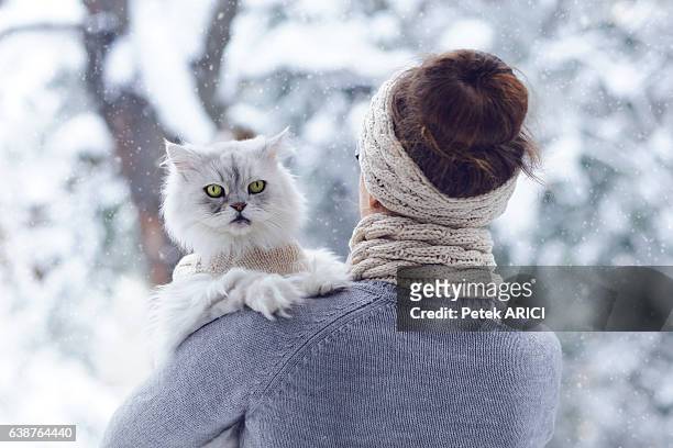 mais bonito melhores amigos de sempre : mulher linda e seu gato - cat behind imagens e fotografias de stock