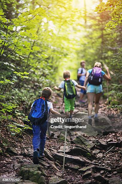 family hiking in sunny forest - buitensport stockfoto's en -beelden