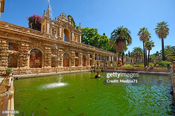 seville - sevilla province stock pictures, royalty-free photos & images