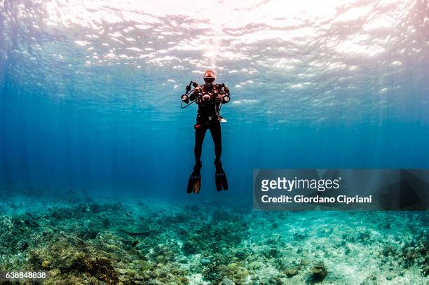 the underwater world of philippines, southeast asia, western pacific ocean. - macchina fotografica subacquea foto e immagini stock